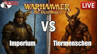 Live: Imperium (Nuln) vs. Tiermenschen ⚔️ | The Old World