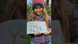 Adventures with Emilie - Te Araroa Trail 💚💛🧡