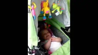 video d8137