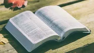 Isaia 12:2 || Riflessione biblica