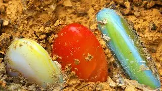 Uncovering the Mysterious World: A Rural Boy Discovered a Magical Crystal Treasure in a Mine
