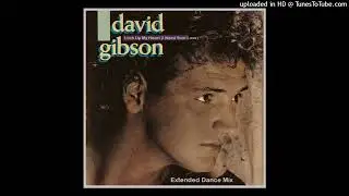 David Gibson - Lock Up My Heart (I Need Your Love)(Extended Dance Mix)