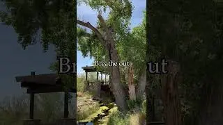 😮&zwj;💨 Breathe in, breathe out at the Springs Preserve! 🌳🥾