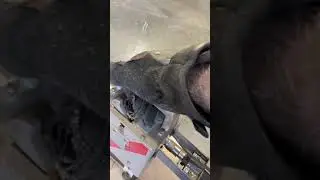 WorkRite Model 4000 Wood Welder