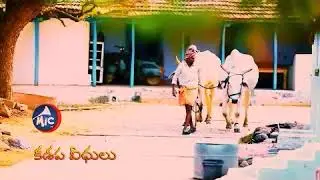 Kanuma Festival Song...