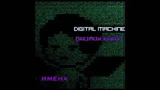 DIGITAL MACHINE - Имена (skripkin remix)