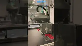SCARA robotic operation creating pallets.