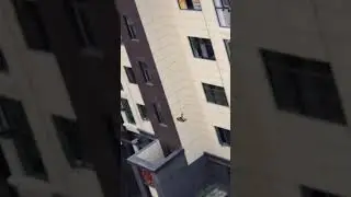 World Highest Flying Chicken - Funny Chicken