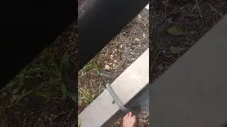 DOES P B BLASTER WORK?