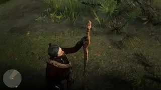 RED DEAD REDEMPTION 2 - FINALLY GOT SKIN DEEP TROPHY