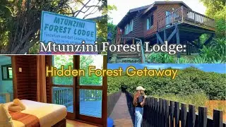 Hidden Gem in KZN 🌿 | Mtunzini Forest Lodge Nature Escape