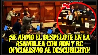 &iexcl;SE ARMO EL DESPELOTE EN LA ASAMBLEA CON ADN Y RC OFICIALISMO AL DESCUBIERTO!