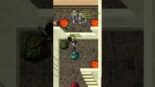 EPIC FAIL BY SASHRA [Antica 2007 8.0]  #oldtibia
