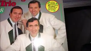 DAS STOAKOGLER TRIO  in votan sei bua