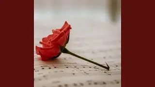 Jazz to wake up with joy