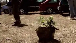 Michigan Medical Marijuana Expo @ Rooster Tail 2014