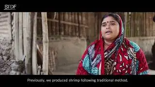 Building food safety skills for shrimp farmers in Bangladesh