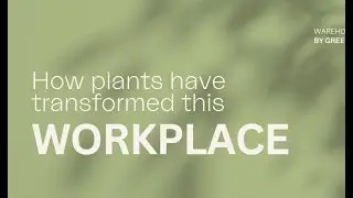 GreenAir x The Warehouse Group | How Plants Transformed This Workplace