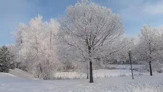 What Does Frozen Fog Look lIke?