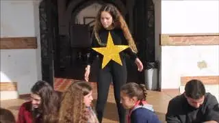 Sigue a la Estrella...
