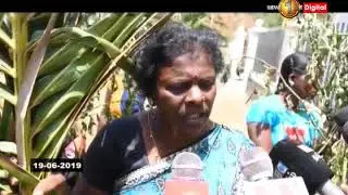 Protest in Kilinochchi over wild elephant havoc