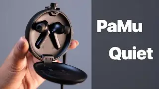 УНИКАЛЬНЫЙ КЕЙС | ГОДНЫЕ TWS | PaMu Quiet