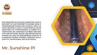 Sewer Line Repair and Replacement Mesa AZ