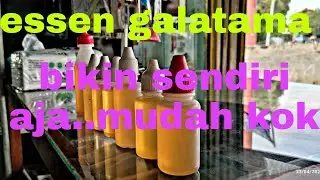 cara membuat essen ikan lele