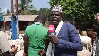 Conakry Nouvelles SALY avec les MOUTONS
