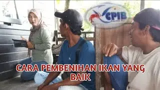 PROSES PERPANJANGAN SERTIFIKAT (CPIB)  CARA PEMBENIHAN IKAN YG BAIK 