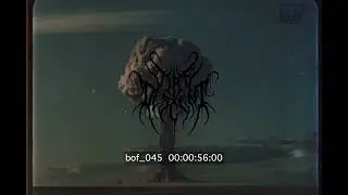 Dire Descent - Martyrs Ft Tameem Shaker of Necropia (Visualizer)