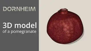 3D model of a pomegranate