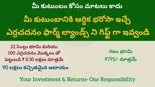 Mahaveer Red Sandal Farm Lands.Safe and Secure Investment,100% Legal.7337511192