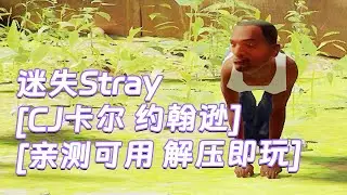 迷失Stray MOD整合版 主角变成 卡尔 约翰逊 CJ 简体中文 免安装 绿色版 亲测可用 解压即玩 [单机游戏 分享下载]
