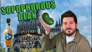 Sopophorous Bean Potion Ingredient Wizard Unite