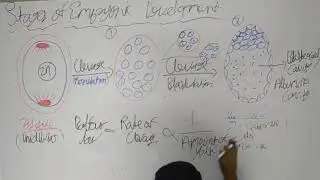 human reproduction (pt-6) Class 12th Bio board exam | bio for NEET & board Exam
