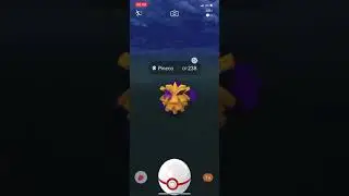 Catching Shiny Shadow Pineco [Pok&eacute;mon GO 2020]