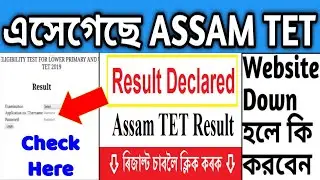 Assam TET Result 2019 Released Cut Off Marks Category Wise Merit List How to check Assam TET Result