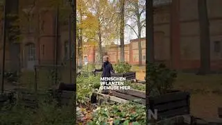 Urban Gardeding, eine Idee von vielen im Quatier Bahnhof-Schlachthof in Offenburg! 😍