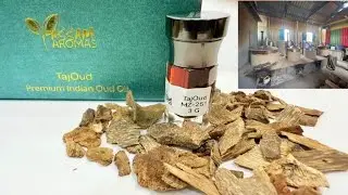 Assam Aromas | MZ 251 | Dehnal Oud Hindi | Artisanal Dehnal Oud | Tajul Bakshi
