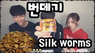 데이브 [번데기 먹어보기/먹방 WITH 한국인 호연 / 미국인 데이브 / 일본인 에리나] Foreigners trying out Korean Silk Worm Pupa