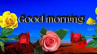 good morning video whatsApp #status gulab flower 🌹 #statusvideo #goodmorning #whatsappstatus #2026 