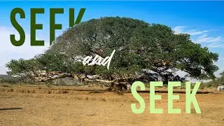 November 2nd, 2025 | Seek and Seek | Pastor Richard Stout @ Tampa Community Church