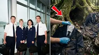 Four Airline Crew Vanished After a Routine Flight in 2001 &mdash; 24 Years Later a Tree Cave Revealed Why