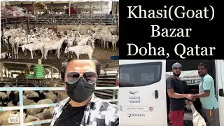 Goat market || Khasi Bazar || buying a goat for celebration of the Eid 2022| Doha | Qatar