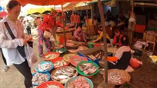 Cambodian Highland Market: Experience the Colorful Natural Market in Poiy Pet - Real Market Show