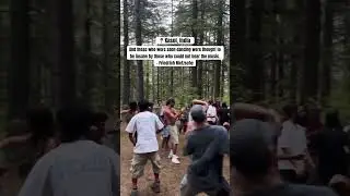 What do you think about jungle parties? #kasol #psytrance #techno #travel #trekking