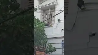 Protest against offline exam (CU)