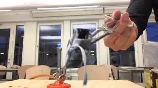 Brinnande magnesium