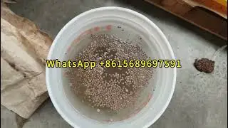 Tilapia Fish Feed Production Machinery Process Line Equipment Automatic Fish Food Machine Extruder